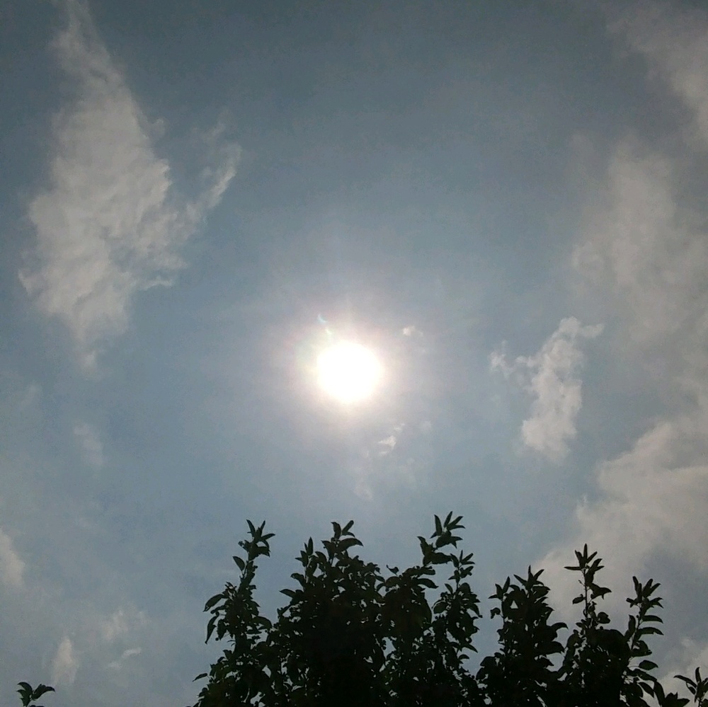 Meet your Posher, Mariah